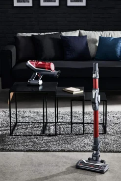 Rowenta RH9678 X-Force Flex 8.60 Akku-Staubsauger | Stab-und Handstaubsauger In Einem | LED-Düse | Flex-Gelenk | Animal-Kit | Easy-Wash-Filter | Inkl. Mini Turbodüse, Etc. | Rot/Grau -Rowenta || Bosch Verkäufe 4788ed019ad2982e3e555cd6b0c3a943